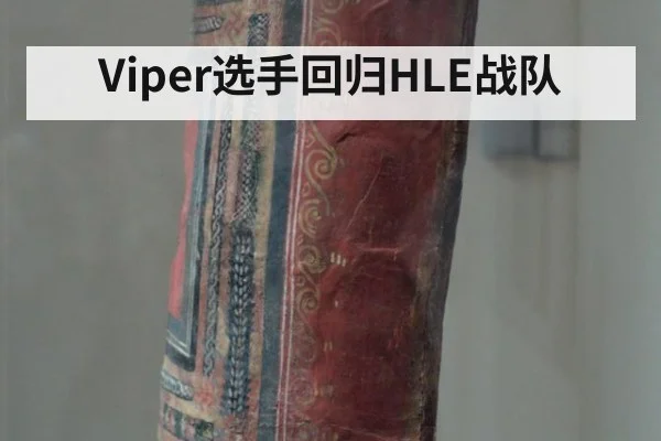 Viper选手回归HLE战队