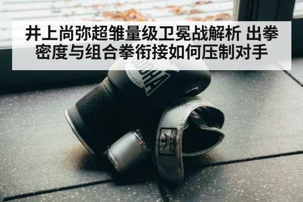 boxing training gloves